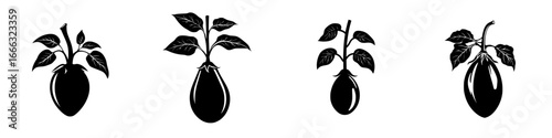 Collection of four distinct black silhouettes of eggplants with varying orientations and leaf arrangements on a white background
