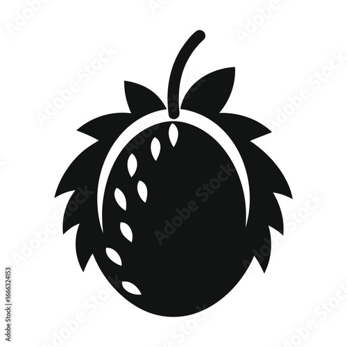 Hala Fruit Vector Icon