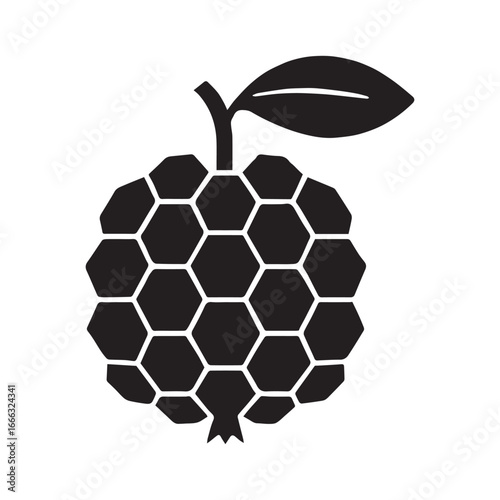 Tropical Hala Fruit Vector