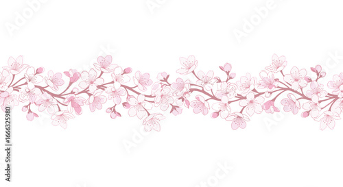 Delicate pink cherry blossoms adorn a horizontal branch banner displaying springtime beauty and floral artistry