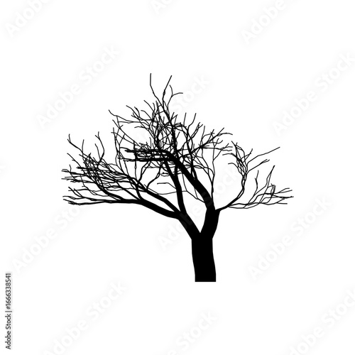 Tree Shapes without Leaves  Leafless Trees Illustration  Dead Tree Vector