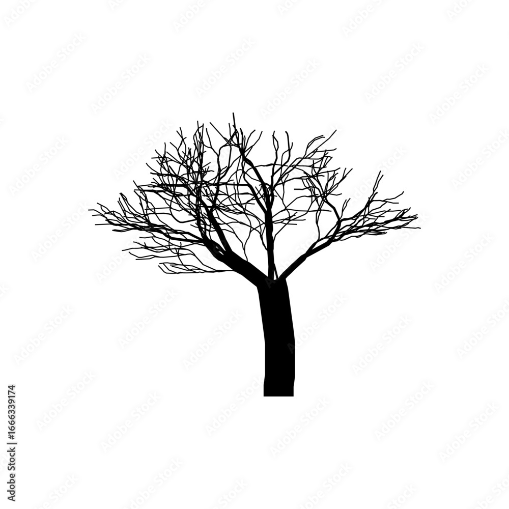 Obraz premium Tree Shapes without Leaves Leafless Trees Illustration Dead Tree Vector