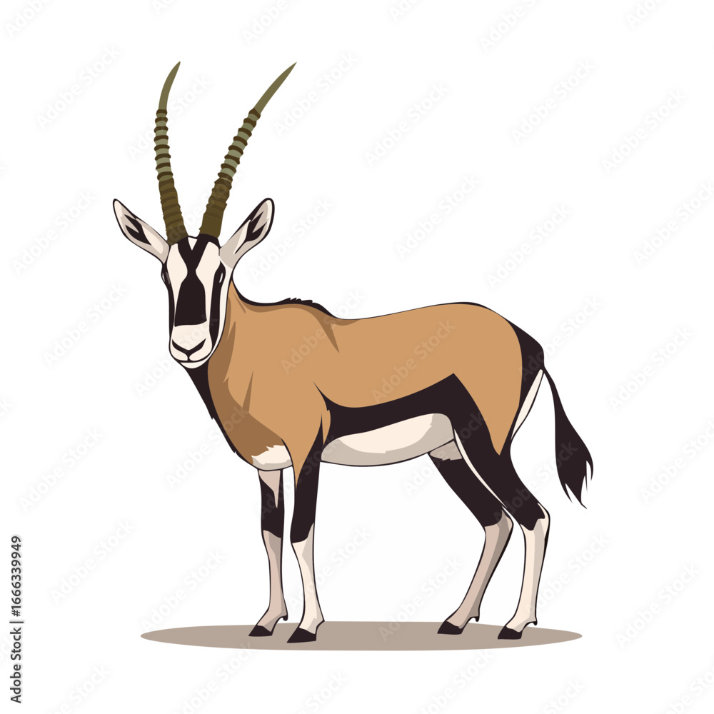 Fototapeta premium Elegant Gemsbok Antelope Illustration Wildlife of Africa Exotic Horns Safari Animal Facing Forward
