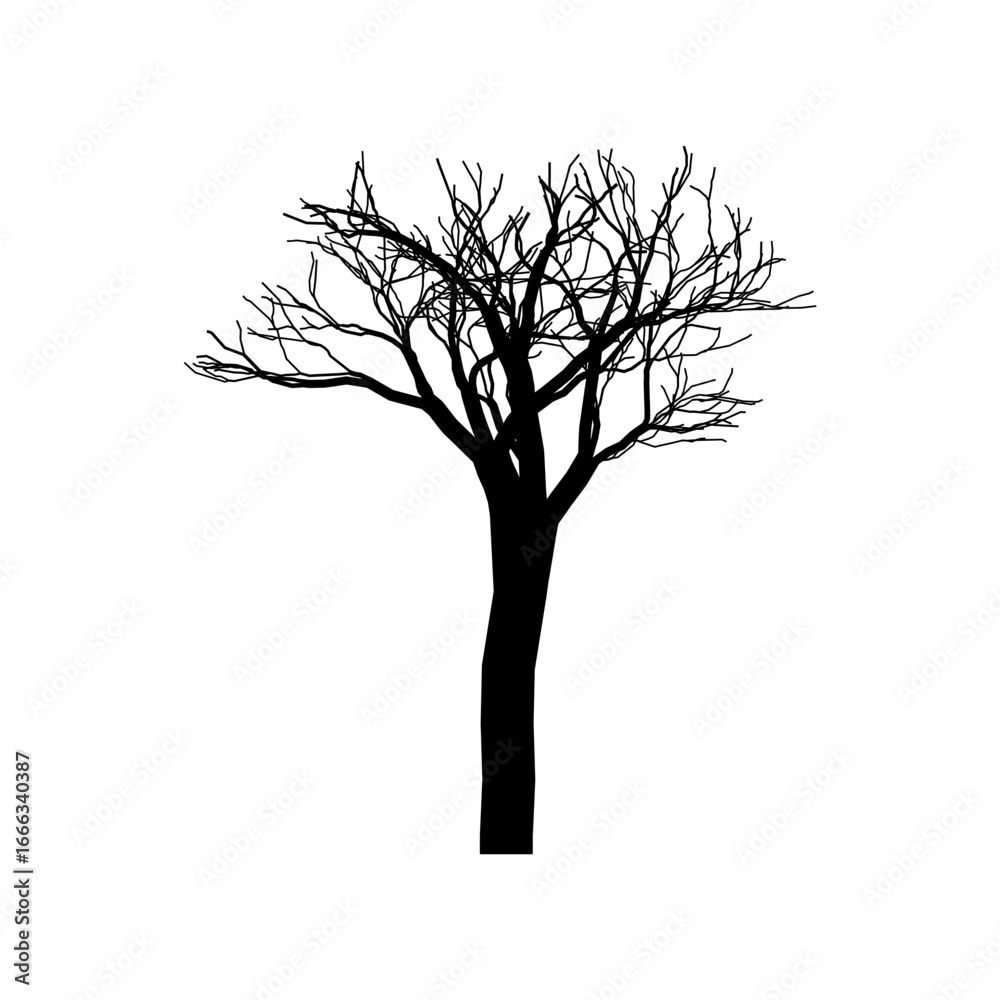 Obraz premium Tree Shapes without Leaves Leafless Trees Illustration Dead Tree Vector