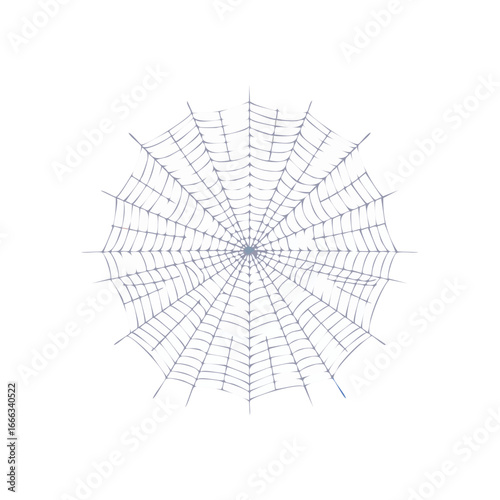 Spiderweb Silhouette Isolated on Black Background Geometric Web Texture Cobweb Pattern Halloween Spooky Horror Design Element