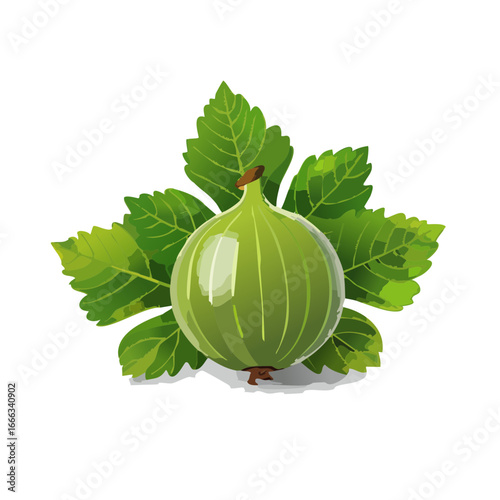 Gooseberry with leaves against black background vector illustration vibrant fruit still life freshness
