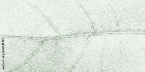 Close up of vibrant green plant leaf cells with gritty stipple effect, organic linear veins, natural cracked skeleton imprint, textured foliage background illustration.