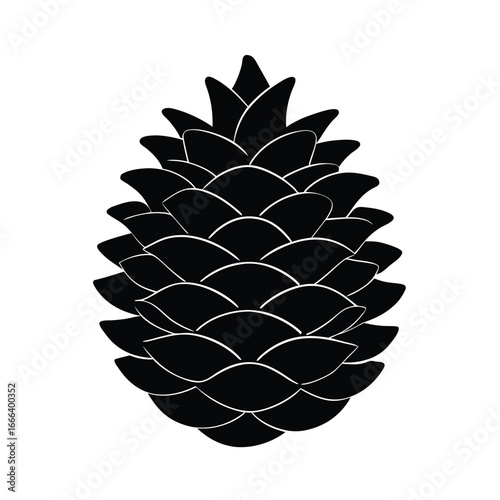 vector illustration of a pine cone