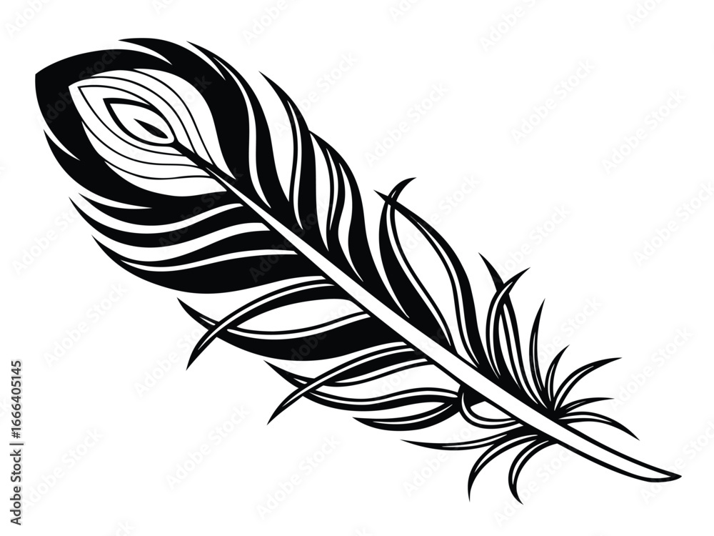 Obraz premium feather isolated on white