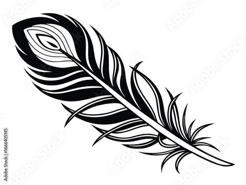 feather isolated on white