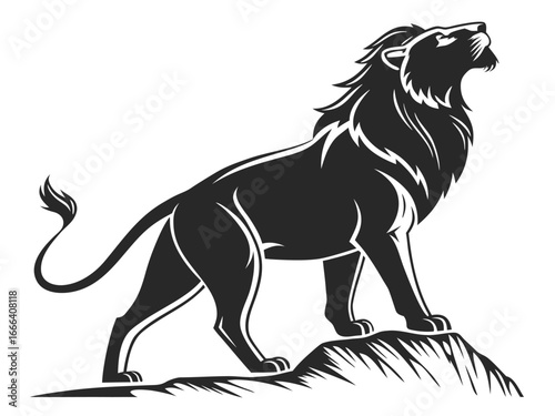 lion vector illustration