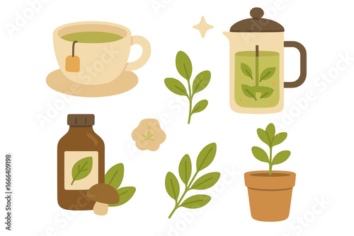 Herbal tea and natural remedy elements set. Vector cartoon illustration of green tea cup, french press, mushroom tincture, and plants for a cozy, healthy lifestyle.