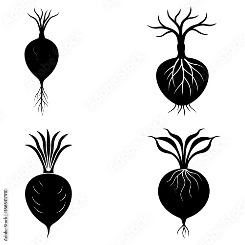 Four black and white vector silhouettes of root vegetables with leaves and root systems shown clearly