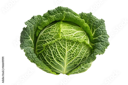 Fresh Savoy Cabbage A Vibrant Green Vegetable Isolated on White