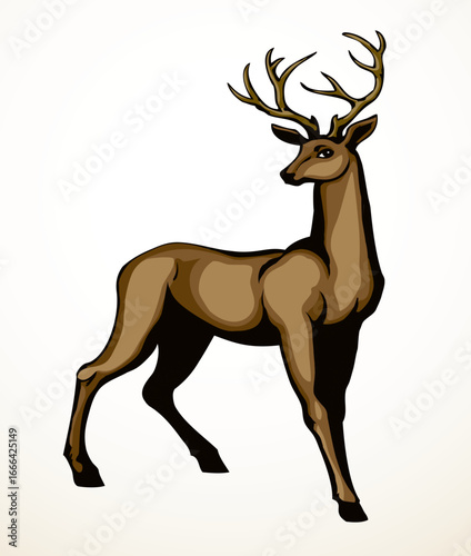Beautiful noble deer. Vector drawing