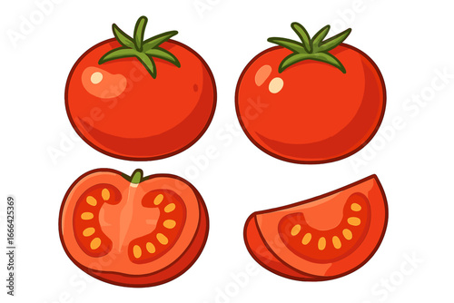 Vector cartoon illustration set of fresh red ripe tomatoes. Whole, sliced, half, and wedge cut tomato. Healthy natural organic vegetable food ingredient for cooking. Isolated.