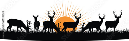 Majestic Deer Silhouettes at Sunrise Wildlife, Nature, and Animal Photography