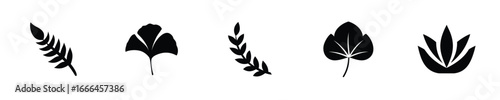 Botanical leaf silhouettes plant nature