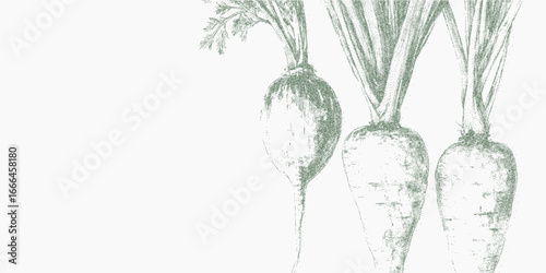 Farm vegetables background. Distressed figure with halftone grain, soft dust and aged paper marks. Subtle grunge speckle adds a vintage texture.