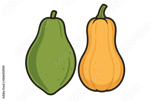 Papaya and butternut squash vector illustration set. Minimalist cartoon icons of fresh fruit and vegetable. Healthy eating, organic food, diet, and nutrition concepts.