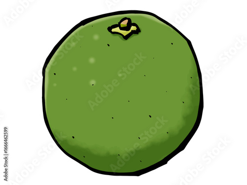 筆 かぼす 秋の果物 柑橘類 / Kabosu citrus illustration, hand-painted brush style fruit