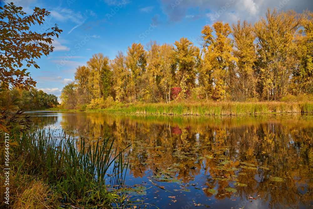 Fototapeta premium Autumn River Landscape with Colorful Reflections