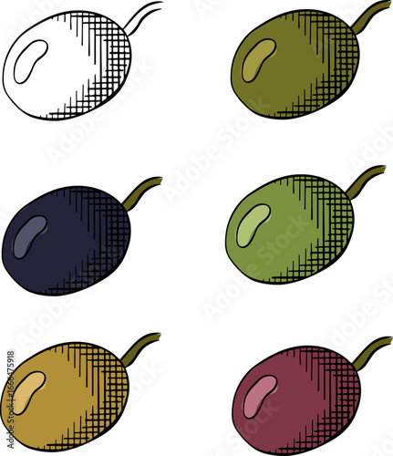 Olive berry single isolated colored. Vector graphic line ink illustration. background for banners, print for fabric, labels, t-shirt printing. Greek art botanical sign. Healthy product.