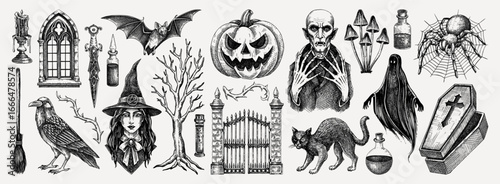 Halloween vector hand-drawn illustrations set. Witch, vampire, monsters, pumpkin head sketches. Gothic design elements. NOT AI generated