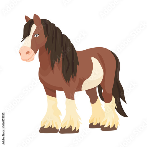Gypsy Vanner horse. Flat vector clipart, illustration with isolated background.