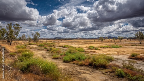 Wallpaper Mural Dry Land Arid landscape scene, foreground greenery, cloudy sky backdrop, usage article Torontodigital.ca