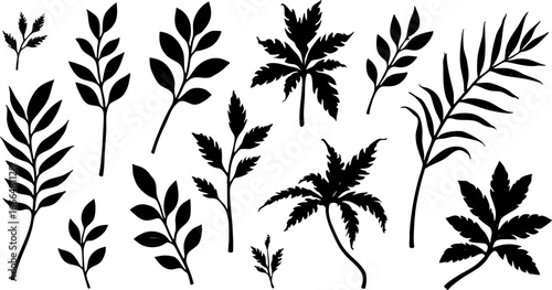 Tropical Leaf Silhouettes Collection 