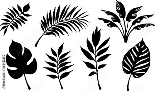 Tropical Leaf Silhouettes Collection 