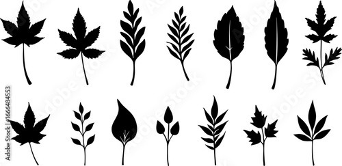 Various Leaf Silhouettes Set