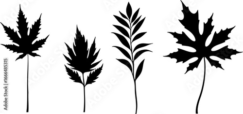 Maple Leaf Silhouettes Collection 