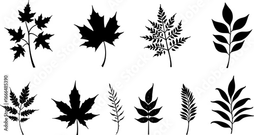 Maple Leaf Silhouettes Collection 