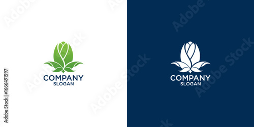 leaf logo design vector	