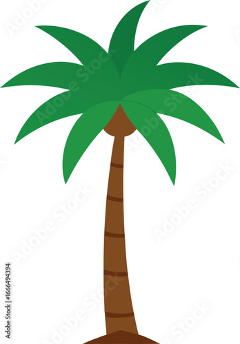 palm tree vector illustration