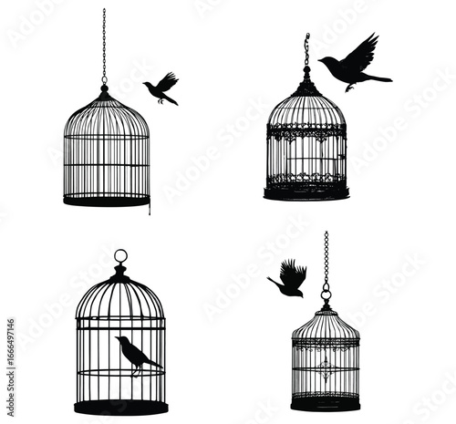Four birdcages with birds in and around them in a black and white illustration style image art