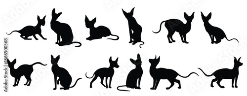 collection of illustrations of silhouettes of sphynx cat