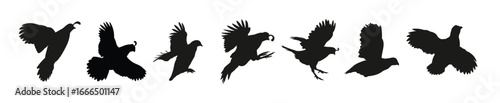 quail flying silhouette illustration set