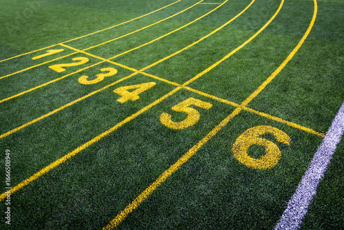 line of runner field