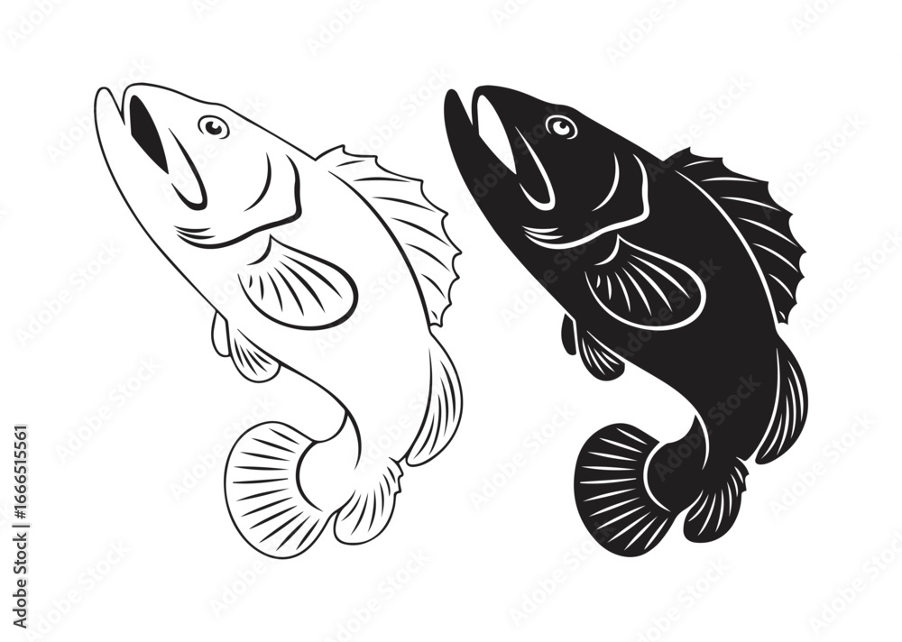 Fototapeta premium Bass Fish Vector Illustration, Black and White Freshwater Predator Silhouette