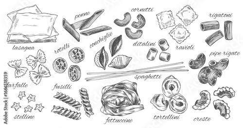 Different types of authentic Italian pasta. Hand drawn set. Vector illustration in vintage style. Menu or signboard template for restaurant.