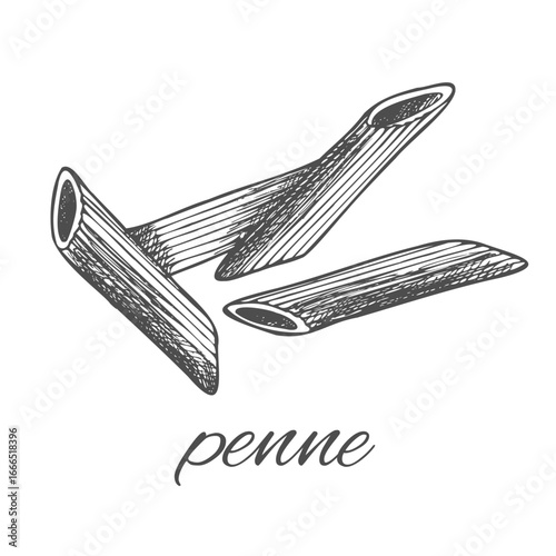 Penne rigate pasta illustration. Vector doodle sketch. Traditional Italian food. Hand-drawn image for engraving or coloring book. Isolated black line icon.