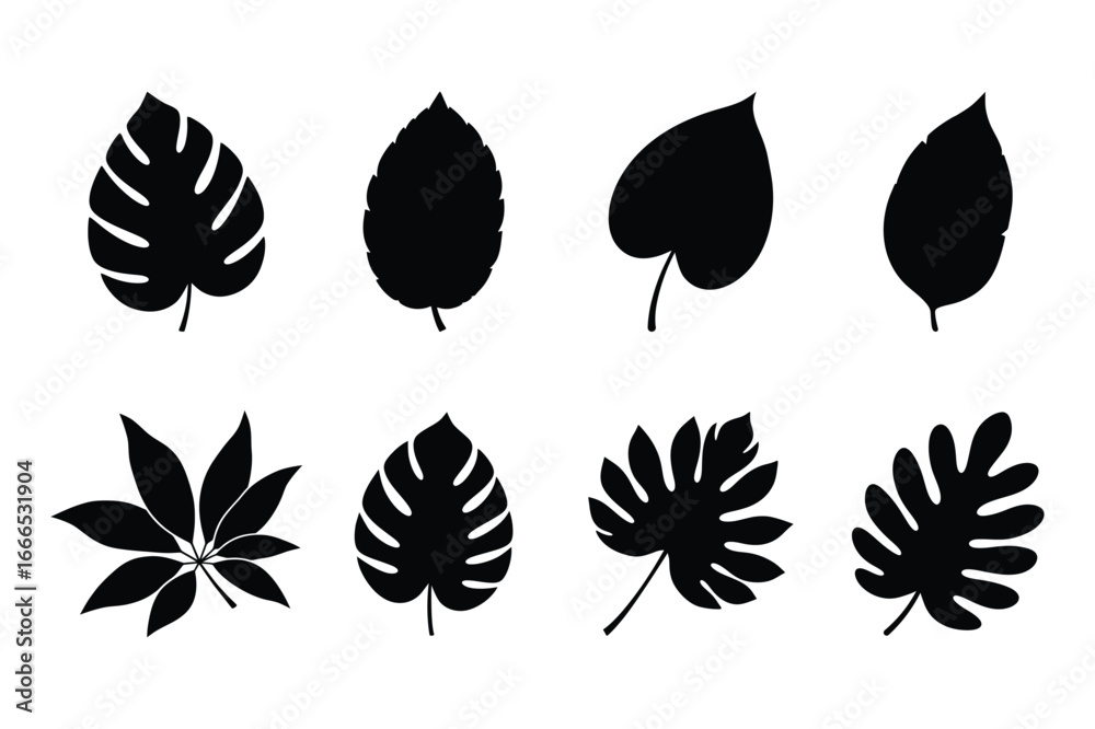 Fototapeta premium Tropical Leaf Silhouette Vector Set Monstera Collection