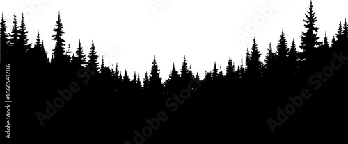 Misty Pine Forest Landscape at Dawn
