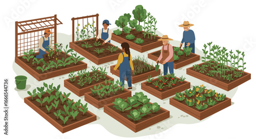 Community gardening scene with people cultivating vegetables in raised beds