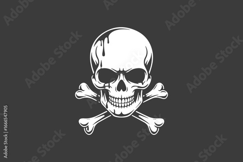 dripping skull silhouette  vector