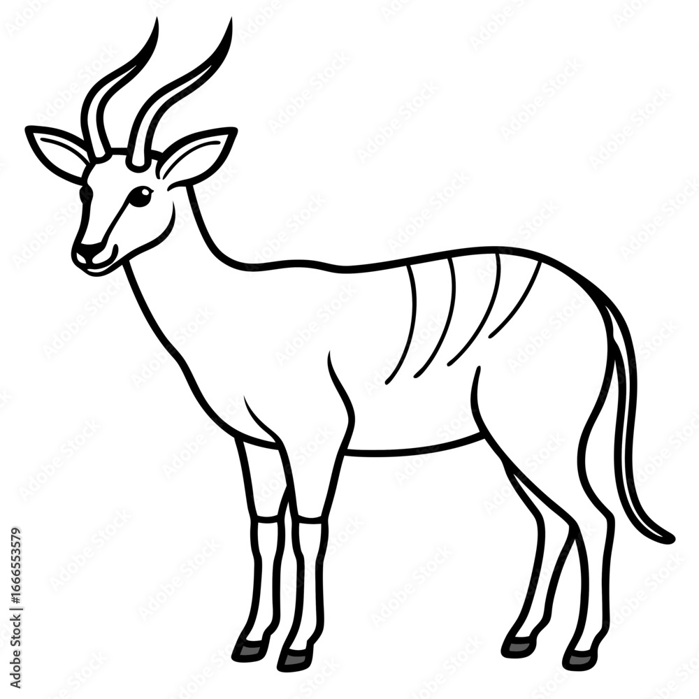 Obraz premium White Line Saola Drawing