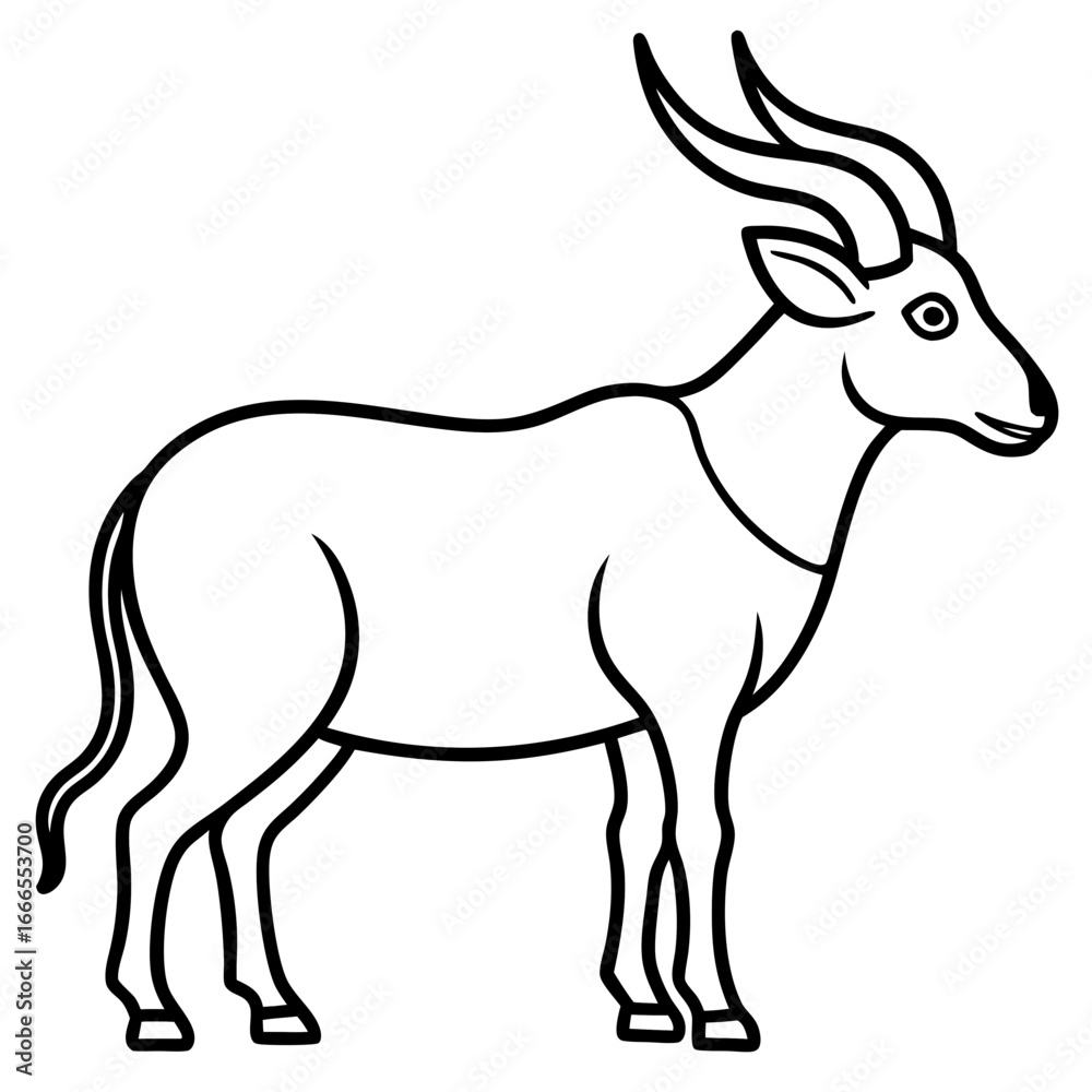 Fototapeta premium White Line Saola Drawing